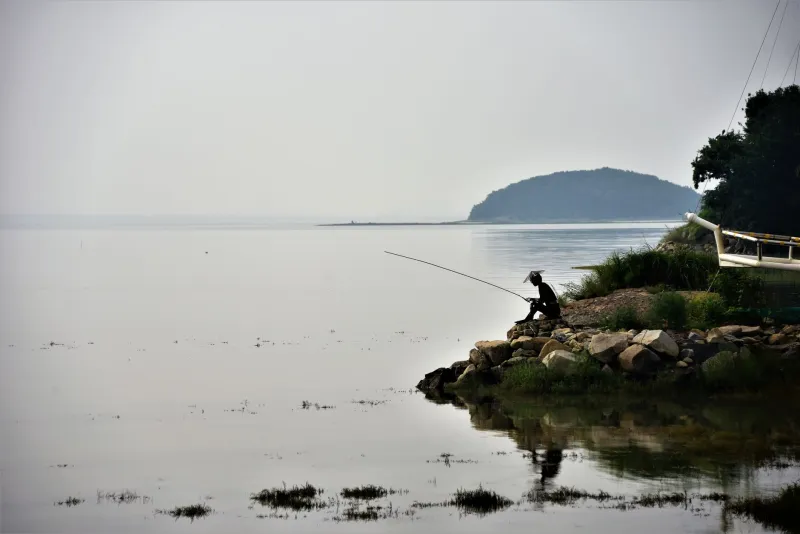 Boredom Is the Skill: Why the Anglers Who Catch More Fish Have Learned to Do Less
