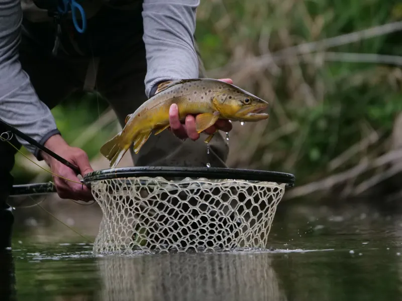 Fast Water, Slow Down: Why Rivers and Runs Are Eating Your Lure Presentation Alive