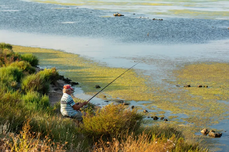 Quiet Water, More Fish: The Noise Discipline Secrets That Consistently Spook-Proof Your Fishing